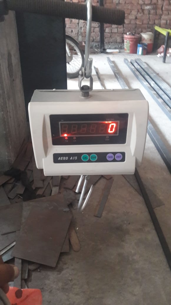 Electronic Crane Scale 200 kg for Poultry Farm